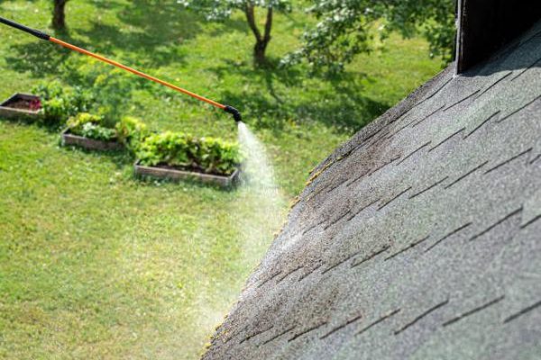 High-Quality Roof Replacement Contractors Serving Brighton