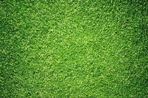 Enhance Your Outdoor Space with Artificial Grass in Scottsdale