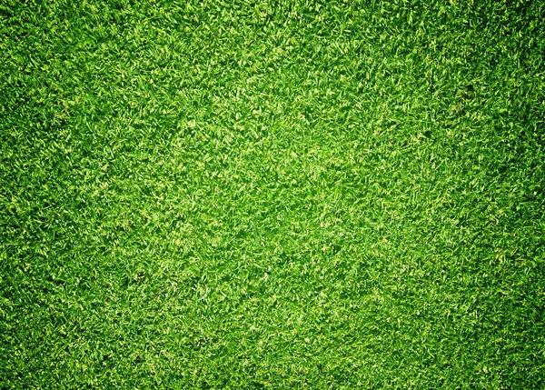 Enhance Your Outdoor Space with Artificial Grass in Scottsdale